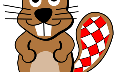 Učenici naše škole ponovno među 10% najboljih u Hrvatskoj na izazovu Dabar!