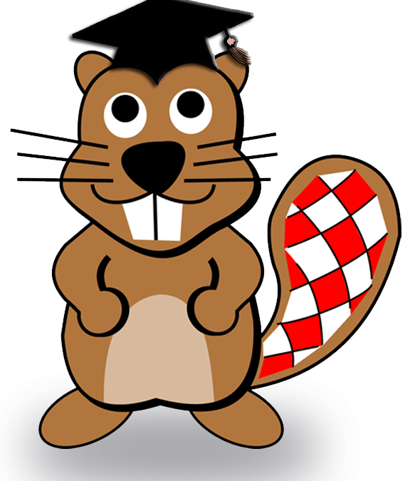 Učenici naše škole ponovno među 10% najboljih u Hrvatskoj na izazovu Dabar!