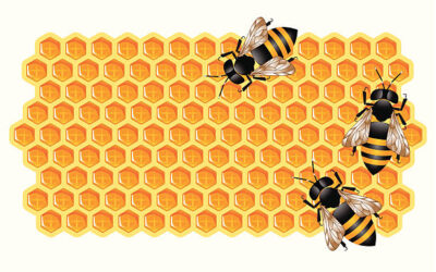 Školski medni dan 8.12. Dan sv. Ambrozija